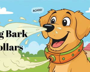 Collection image for: Bark Collars