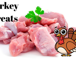 Collection image for: Turkey Treats