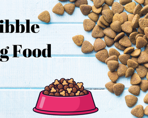 Collection image for: Kibble Dog Food