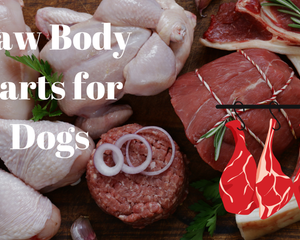 Collection image for: Raw Frozen Body Parts for Dogs