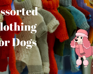 Collection image for: Assorted Clothing for Dogs