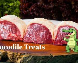 Collection image for: Crocodile Treats