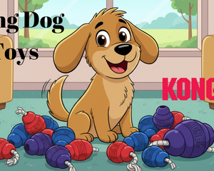 Collection image for: Kong Toys