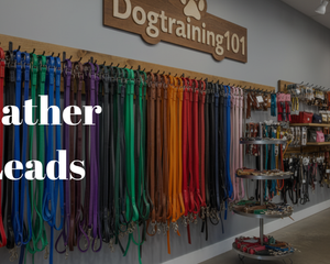 Collection image for: Leather Leads
