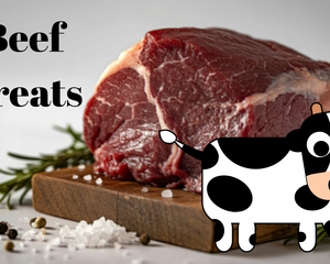 Collection image for: Beef Treats