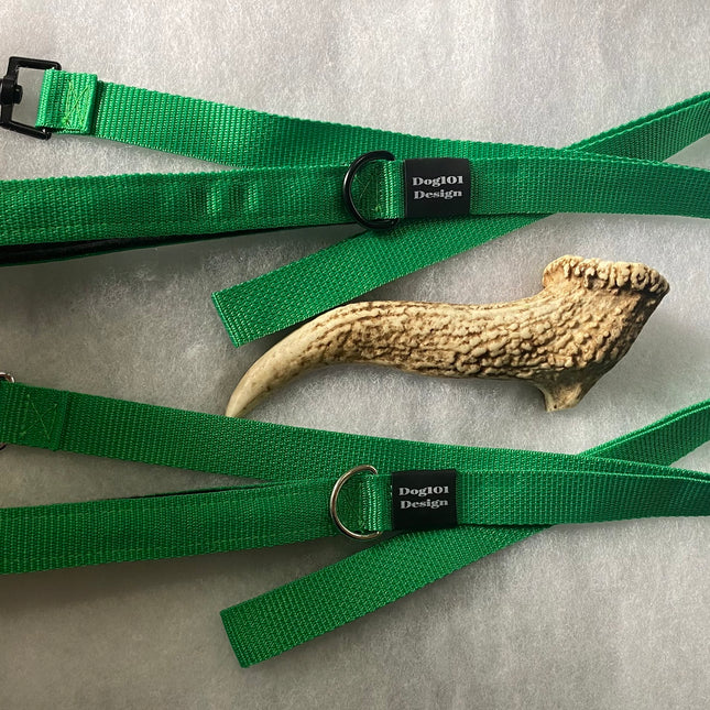 Adult Dog Premium Handle Plain Light Green 1.5m x 25mm Lead image 0