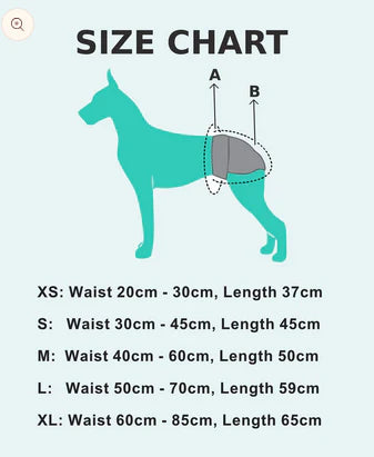 S Washable Dog Nappies - Purple image 1