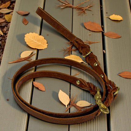 Natural Leather Lead - Double Braid