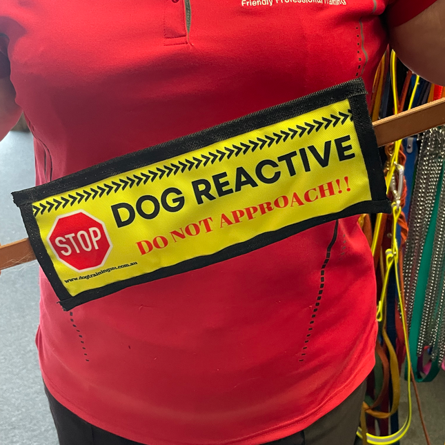 Dog Reactive - Leash Banner image 0