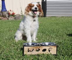 Loving Pets Wooden Woof Dog Diner 0.5L image 2