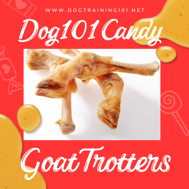 Goat Trotters image 0