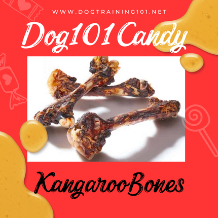 Kangaroo Leg Bone image 0