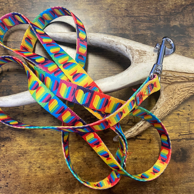 Puppy/Small Dog Rainbow Heart 1.2m x 16mm Lead  image 0