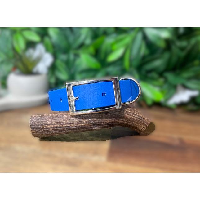 Candy Blue Biothane Collar image 0
