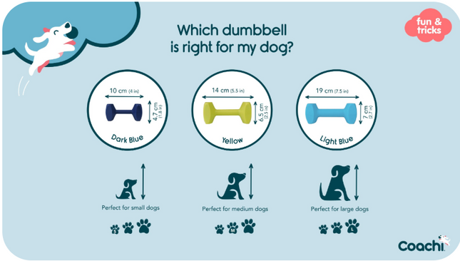 Coachi Training Dumbbell - Medium Lime image 1