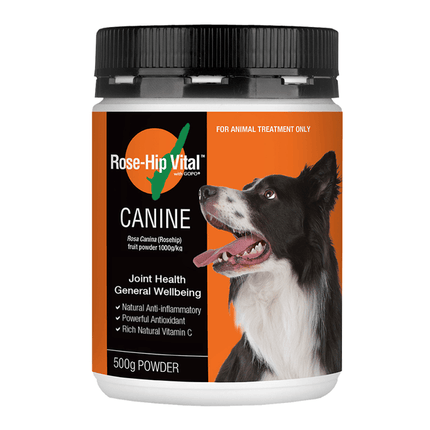 Rose-Hip Vital Canine Powder 500g image 0