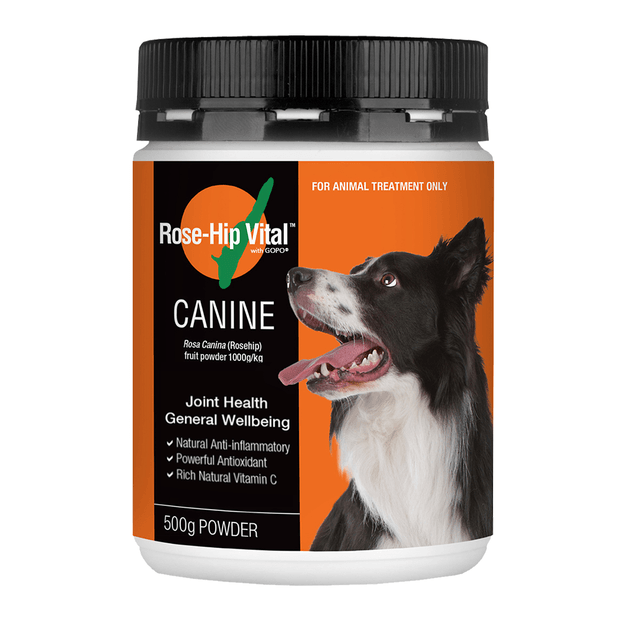 Rose-Hip Vital Canine Powder 500g image 0