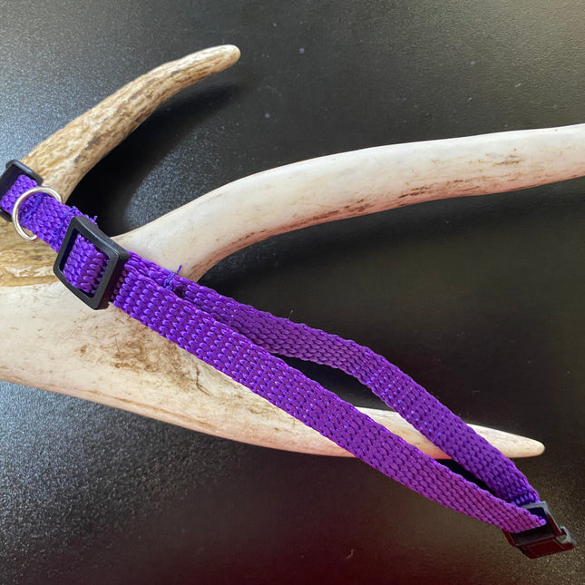 Plain Puppy Collar Purple image 0