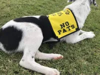 No Pats Vest image 0