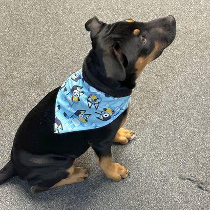 Bluey Bandanna image 0