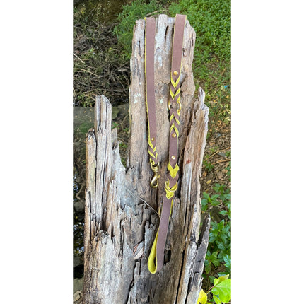 Yellow Two Tone Double Braid Leather Lead image 0