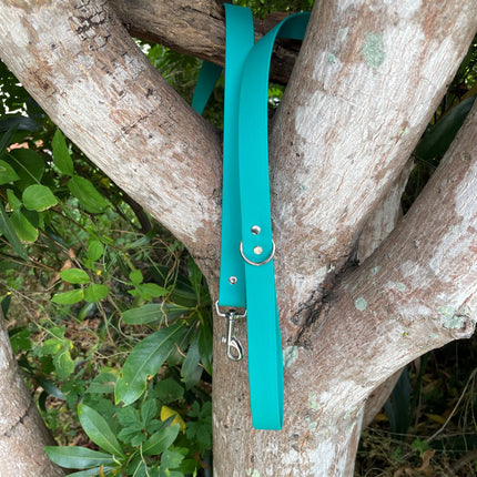 Biothane Pastel Green Lead 1.5M image 0