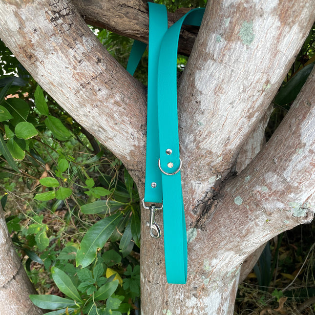 Biothane Pastel Green Lead 1.5M image 0