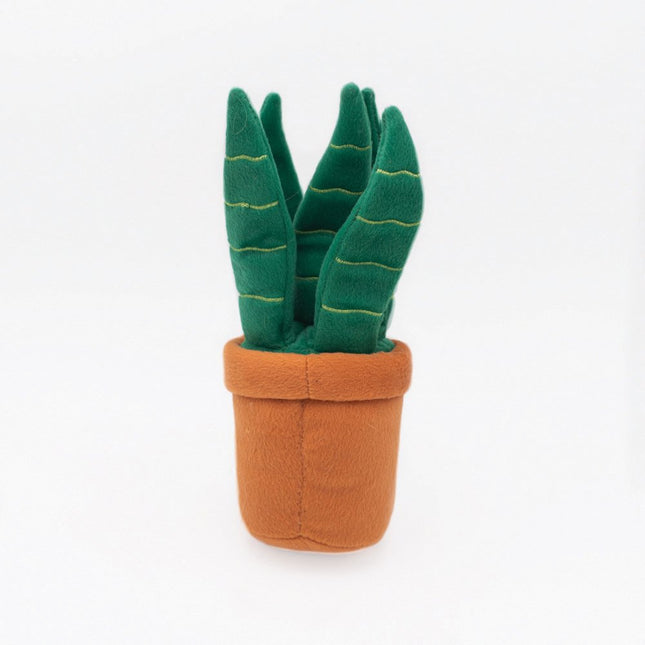 Zippy Paws Snake Plant image 1