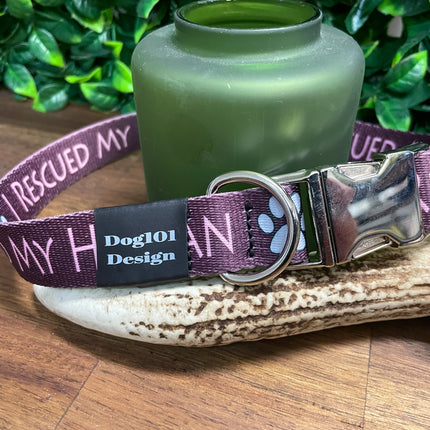 I Rescued My Human Metal Clip Collar image 0