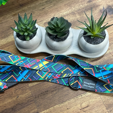 Adult Dog Fancy Geometric 1.5m x 25mm Lead image 0