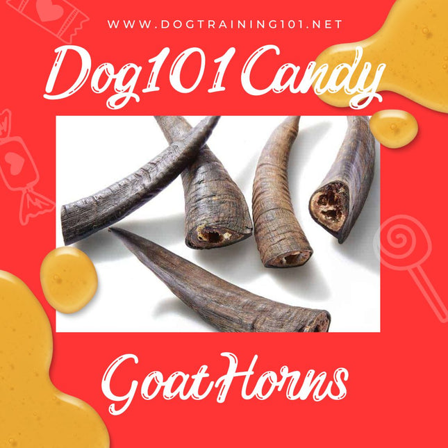 Goat Horn with Marrow image 0