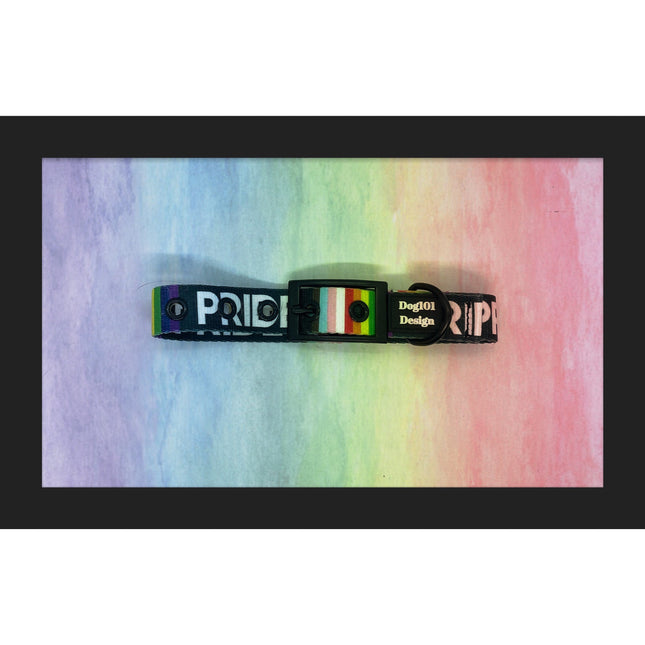 Pride Buckle Collar image 0