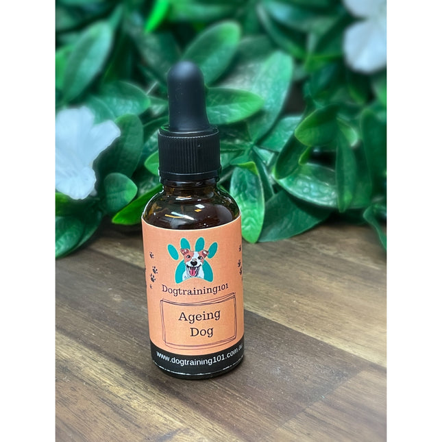 Ageing Dog Hemp Oil 25ml image 0