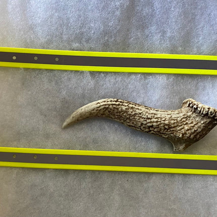 Reflective Yellow Biothane Collar image 1