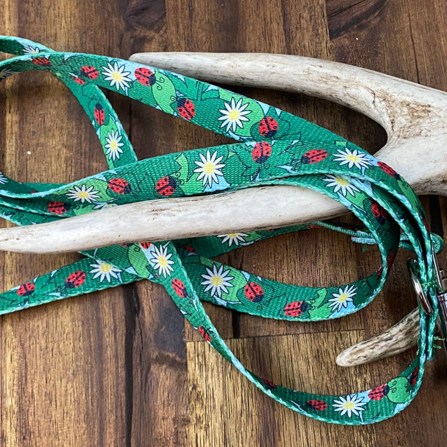 Puppy/Small Dog Ladybug 1.2m x 16mm Lead image 0