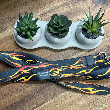 Adult Dog Fancy Hot Rod 1.5m x 25mm Lead  image 1