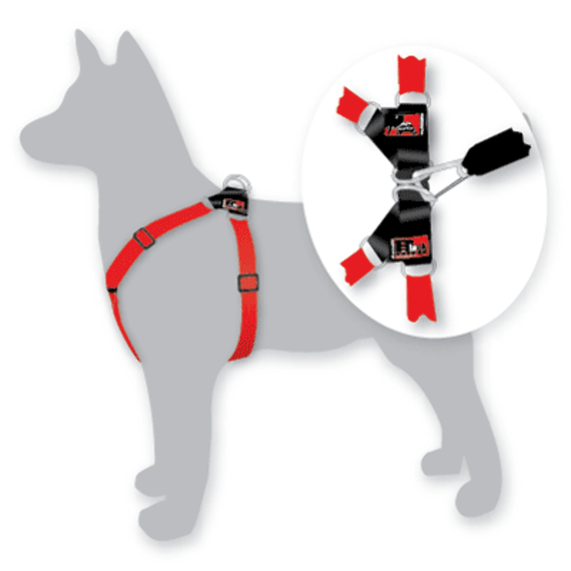 Blackdog Harness image 0