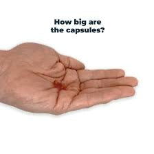 Antinol Plus 90 capsules image 4