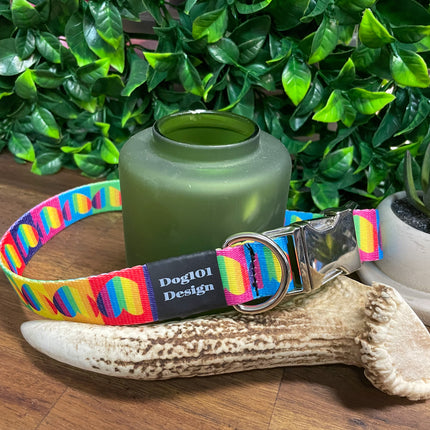 Rainbow Heart Metal Clip Collar image 0