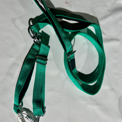 Reactive Plain Emerald Green Lead image 0