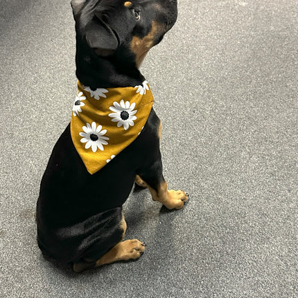 Daisy Bandanna image 0