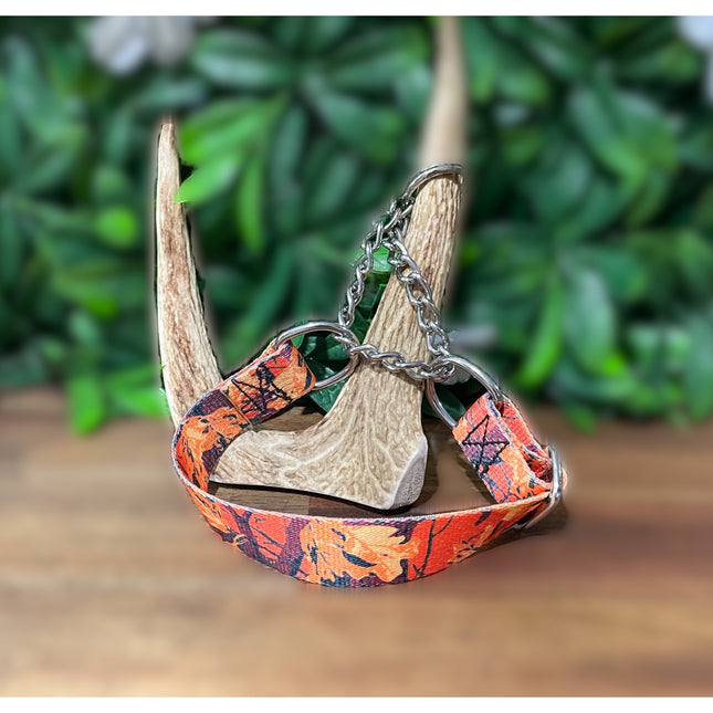 Martingale Autumn Design image 0