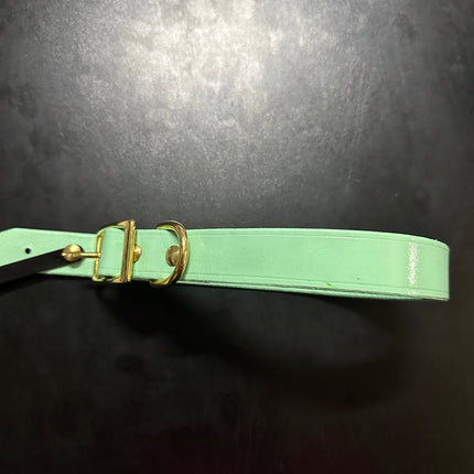 Hand Painted Leather -  Mint image 0