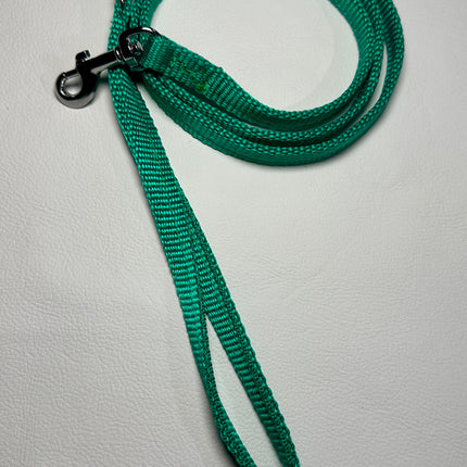 Puppy/Small Dog Thick Emerald Green 1.2m x 13mm Lead image 0