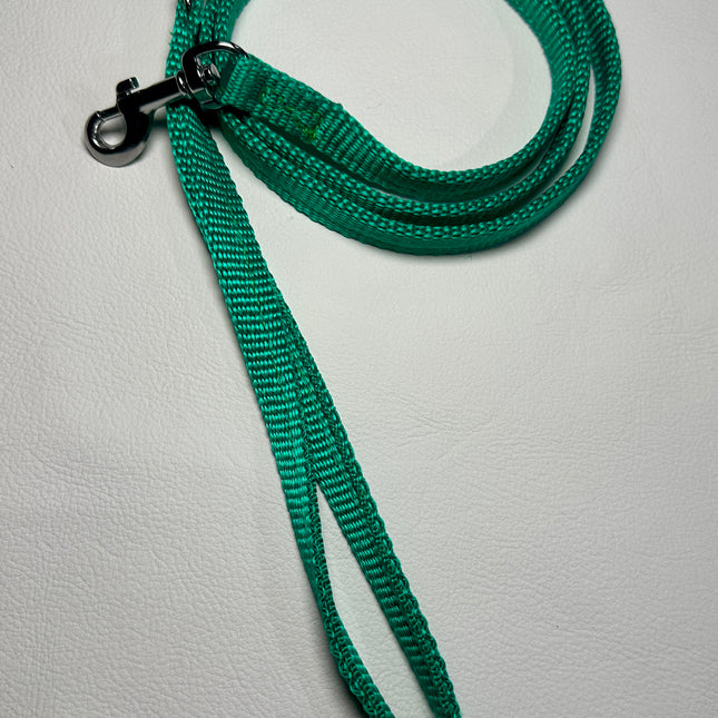 Puppy/Small Dog Thick Emerald Green 1.2m x 13mm Lead image 0