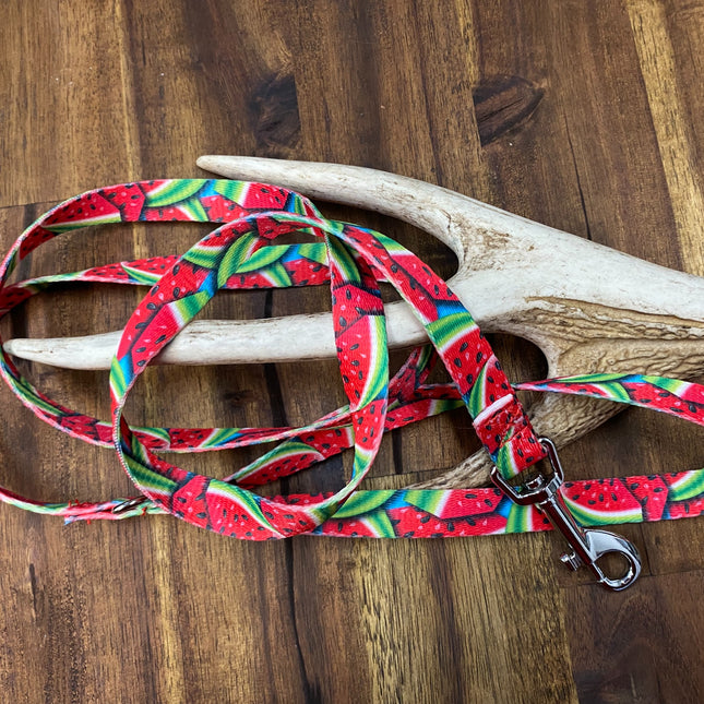 Puppy/Small Dog Watermelon 1.2m x 16mm Lead image 0