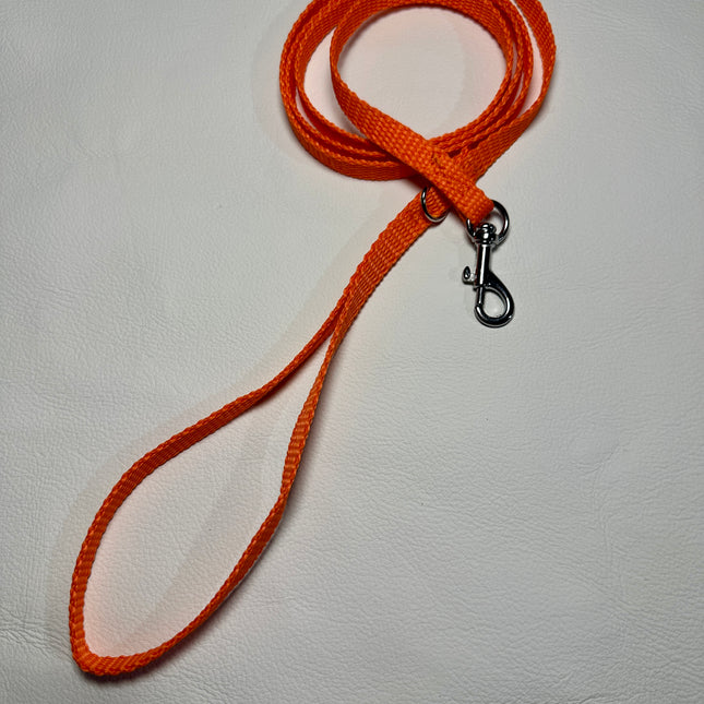 Puppy/Small Dog Orange 1.2m x 10mm Lead image 0