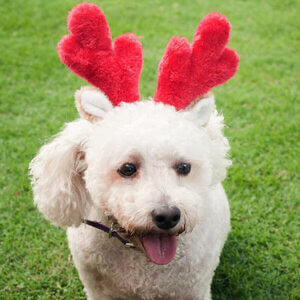 Zippy Paws Xmas Antlers image 1