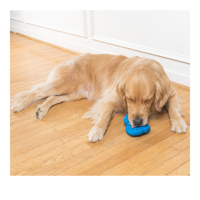 Chilly Penguin image 1