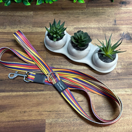 Adult Dog Fancy Stripe 1.5m x 25mm Lead  image 0